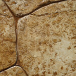 The Stamped Concrete Sealing Dilemma: Why Professionals Always Say Yes