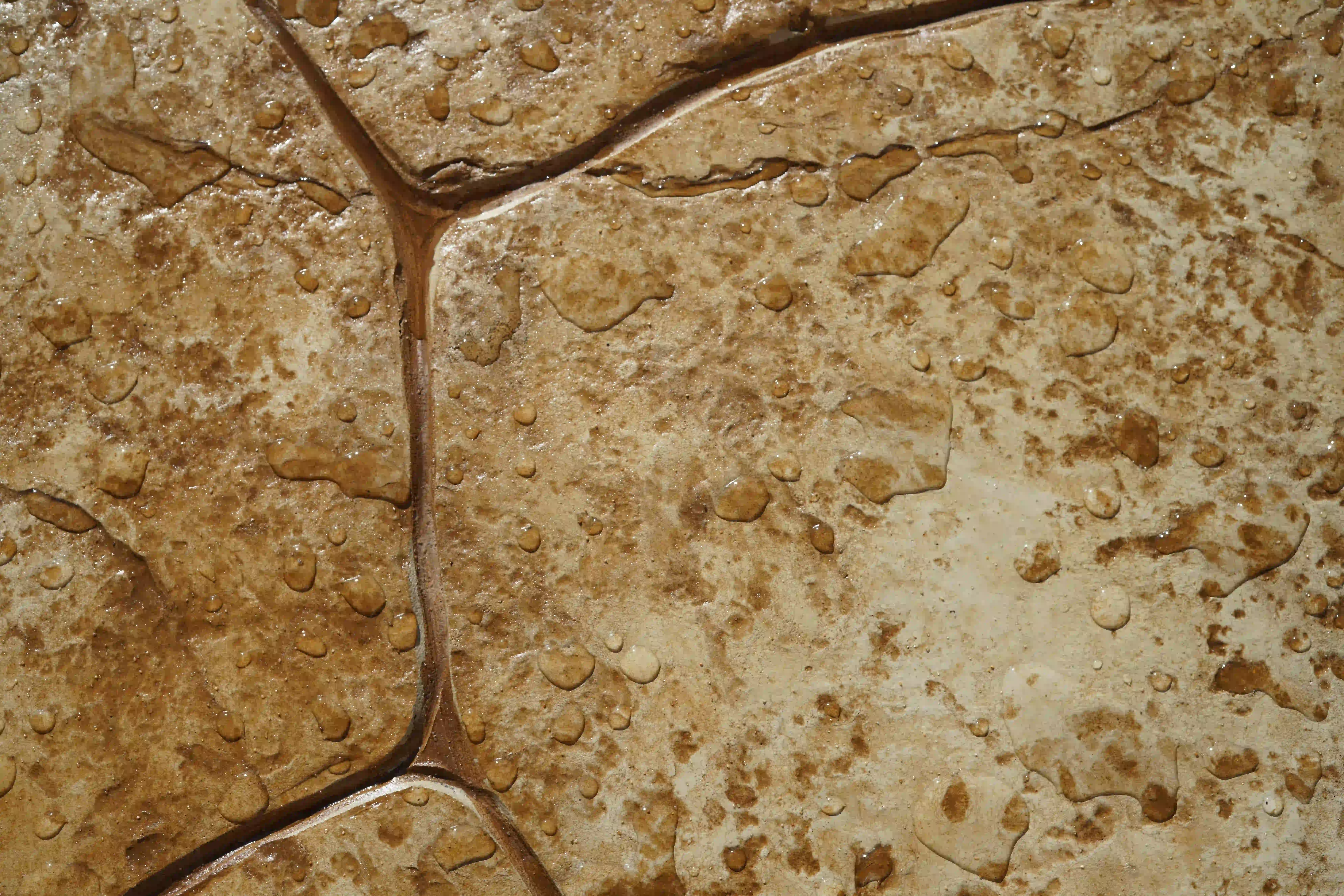 The Stamped Concrete Sealing Dilemma: Why Professionals Always Say Yes